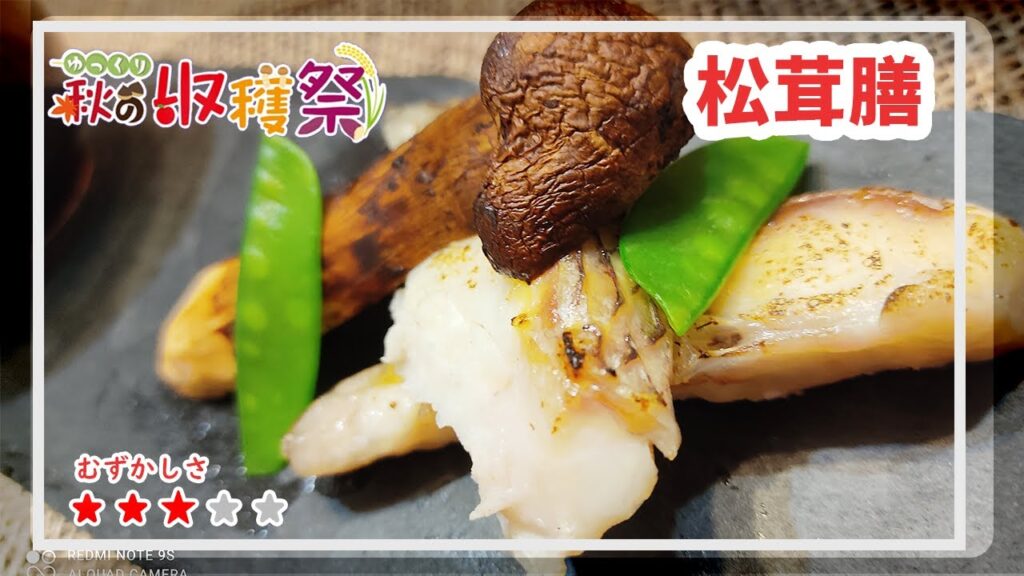 【ゆっくり実況】マミゾウさんが作る松茸膳【ゆっくり料理】【ゆっくり解説】