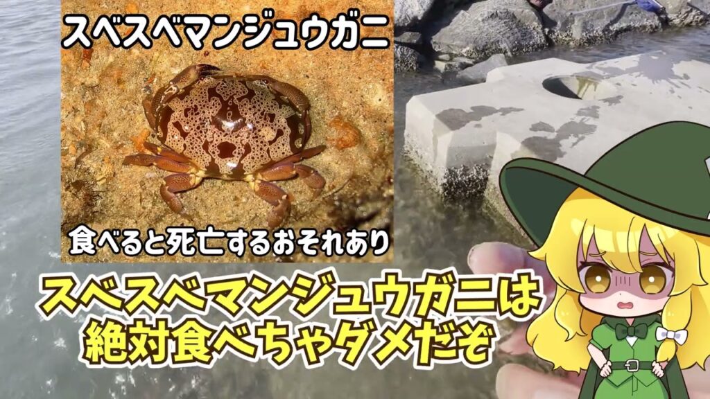 【ゆっくり実況】野生の食材で作るペペロンチーノ【ゆっくり料理】【ゆっくり解説】