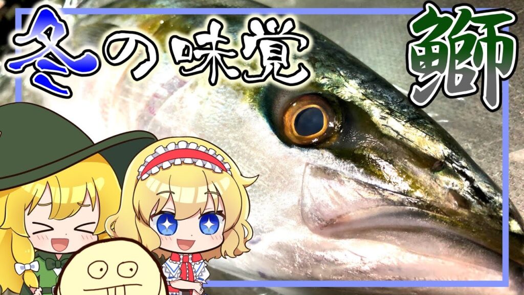 【ゆっくり実況】ブリをちゃんと料理してコラボ先に失礼のないように茶番を作ったら、やっぱり無理だったかもしれないので先に言いますごめんなさい。【#95】