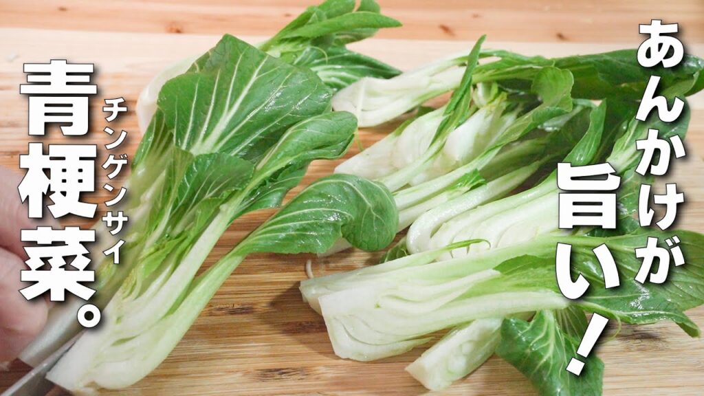 【チンゲンサイレシピ】鶏ひき肉の最高あんかけ！簡単野菜中華