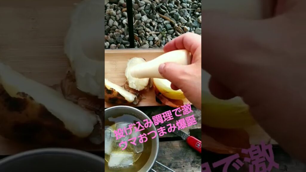 投げ込み調理器で激ウマおつまみ爆誕 #料理 #キャンプ #晩酌 #焚き火