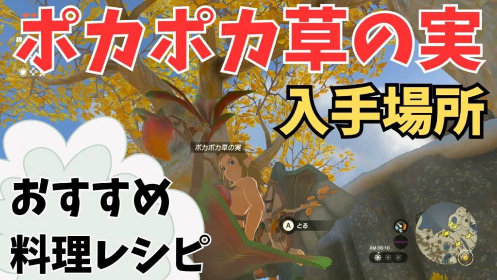 ポカポカ草の実なくなった！入手場所どこ？おすすめ料理レシピ紹介【ゼルダの伝説 ティアキン】