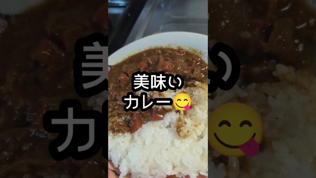 アル中料理研究家リュウジの本気カレーを食べてみた【レビュー】#料理研究家リュウジ #リュウジ　#カレー　#通販　#本気カレー　#ストゼロ