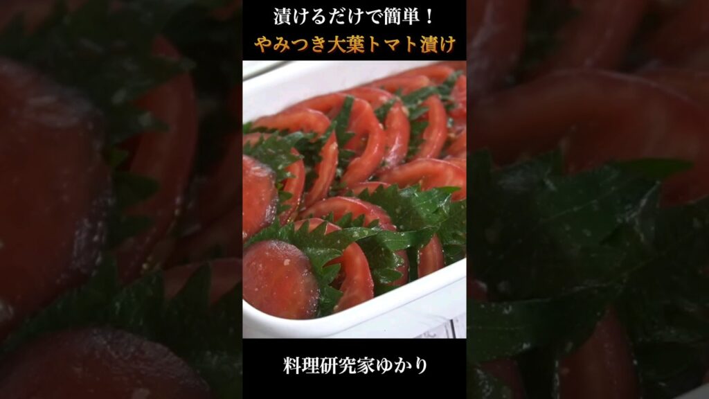 【切って漬けるだけ!】さっぱり大葉トマト漬け🍅 #トマト #大葉 #shorts
