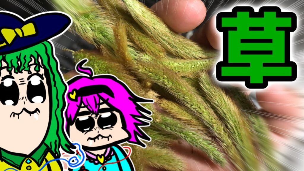 【ゆっくり料理】その辺の雑草で茶をシバく(夏編)【ゆっくり実況】