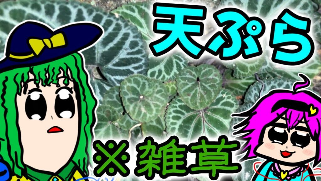 【ゆっくり料理】かわいい雑草を食う【ゆっくり実況】