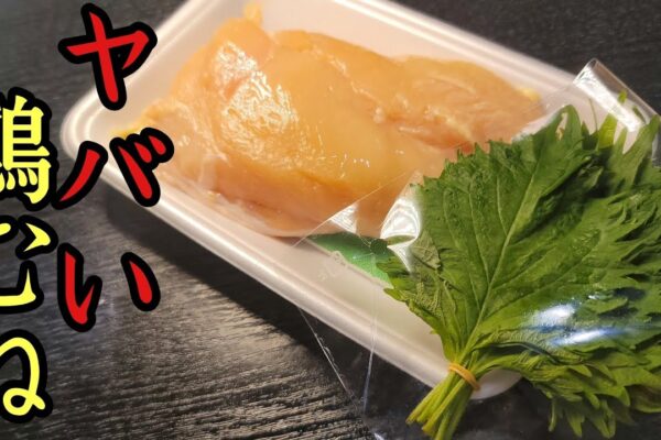 日本一再生されたトマト煮込みより旨い。究極のトマトとチキンの煮込みの作り方教えます #リュウジ #xmas #shorts